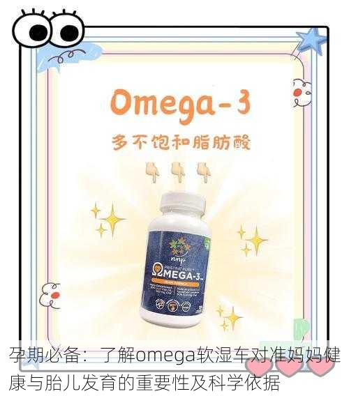 孕期必备：了解omega软湿车对准妈妈健康与胎儿发育的重要性及科学依据