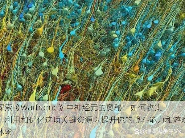 探索《Warframe》中神经元的奥秘：如何收集、利用和优化这项关键资源以提升你的战斗能力和游戏体验