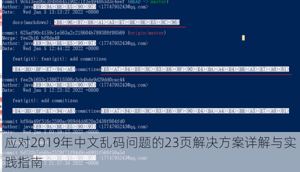 应对2019年中文乱码问题的23页解决方案详解与实践指南