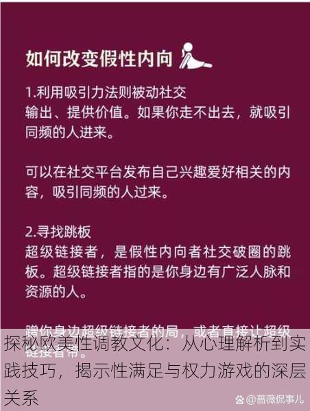 探秘欧美性调教文化：从心理解析到实践技巧，揭示性满足与权力游戏的深层关系