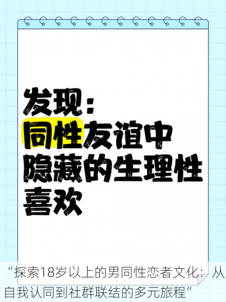 “探索18岁以上的男同性恋者文化：从自我认同到社群联结的多元旅程”