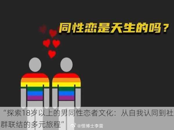 “探索18岁以上的男同性恋者文化：从自我认同到社群联结的多元旅程”