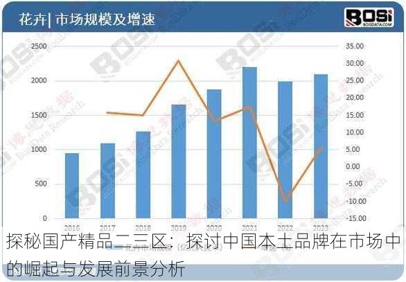 探秘国产精品二三区：探讨中国本土品牌在市场中的崛起与发展前景分析