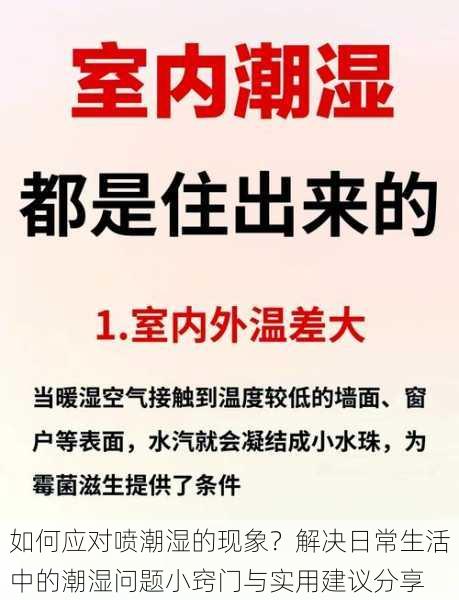 如何应对喷潮湿的现象？解决日常生活中的潮湿问题小窍门与实用建议分享