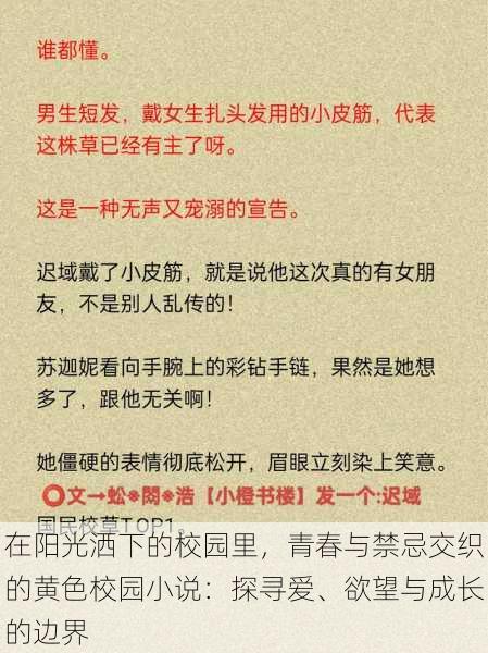 在阳光洒下的校园里，青春与禁忌交织的黄色校园小说：探寻爱、欲望与成长的边界