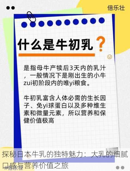 探秘日本牛乳的独特魅力：大乳的细腻口感与营养价值之旅