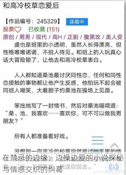 在禁忌的边缘：边操边爱的小说探秘与情感交织的纠葛