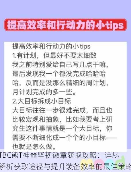 TBC熊T神器坚韧徽章获取攻略：详尽解析获取途径与提升装备效率的最佳策略