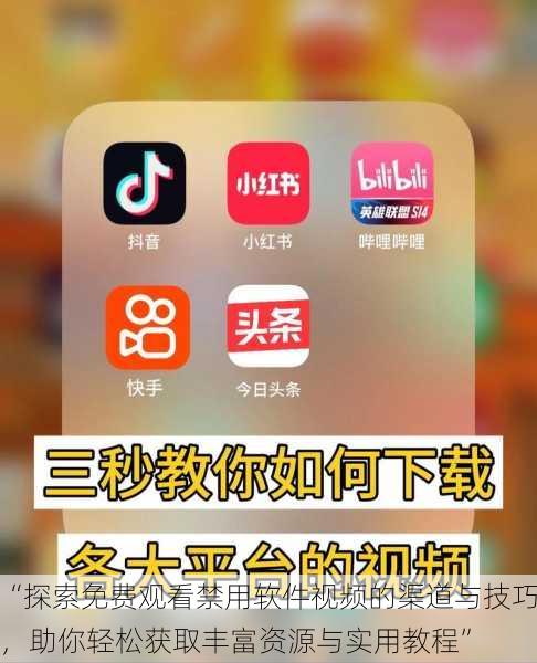 “探索免费观看禁用软件视频的渠道与技巧，助你轻松获取丰富资源与实用教程”