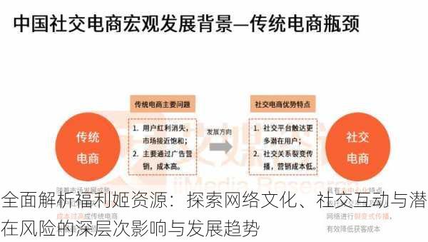 全面解析福利姬资源：探索网络文化、社交互动与潜在风险的深层次影响与发展趋势