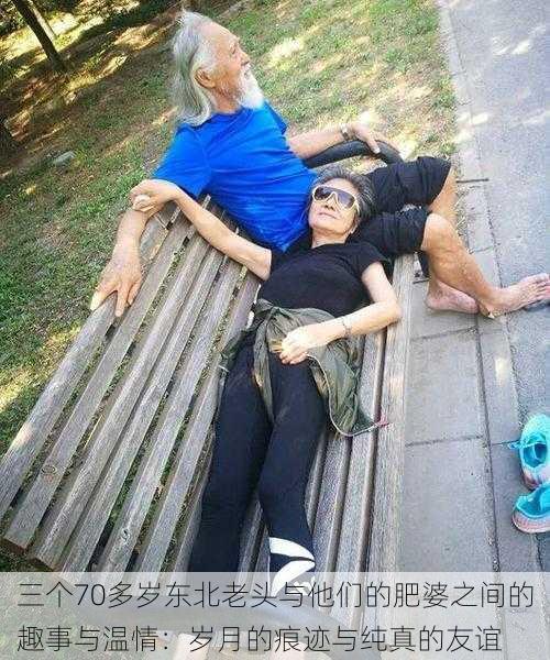 三个70多岁东北老头与他们的肥婆之间的趣事与温情：岁月的痕迹与纯真的友谊