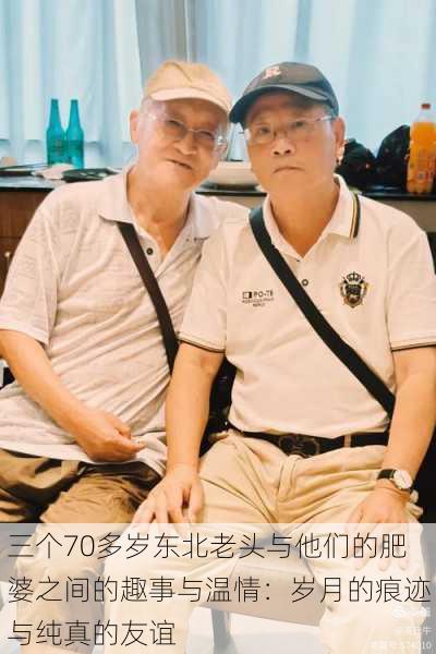 三个70多岁东北老头与他们的肥婆之间的趣事与温情：岁月的痕迹与纯真的友谊