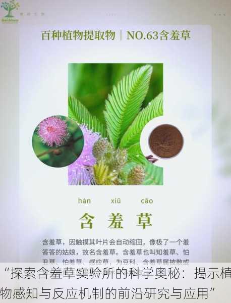 “探索含羞草实验所的科学奥秘：揭示植物感知与反应机制的前沿研究与应用”