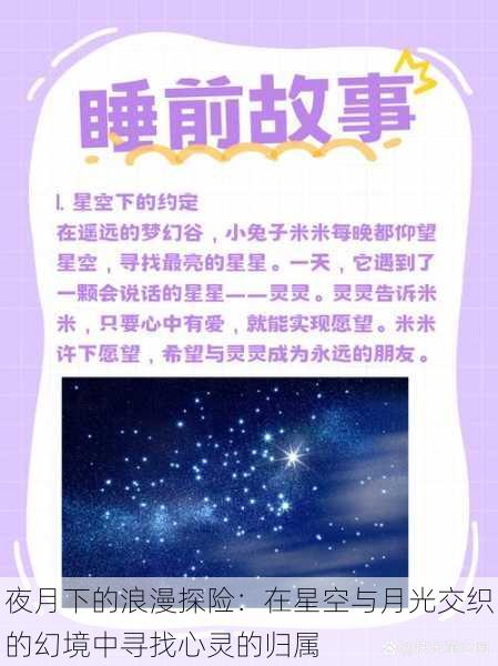 夜月下的浪漫探险：在星空与月光交织的幻境中寻找心灵的归属