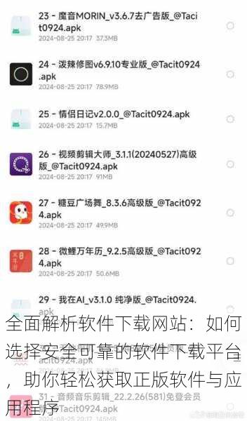 全面解析软件下载网站：如何选择安全可靠的软件下载平台，助你轻松获取正版软件与应用程序