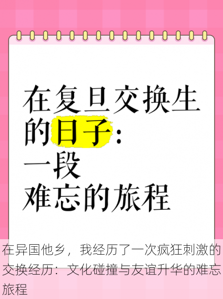 在异国他乡，我经历了一次疯狂刺激的交换经历：文化碰撞与友谊升华的难忘旅程