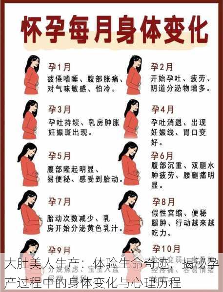 大肚美人生产：体验生命奇迹，揭秘孕产过程中的身体变化与心理历程