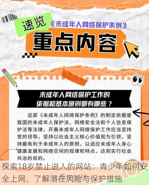 探索18岁禁止进入的网站：青少年如何安全上网，了解潜在风险与保护措施