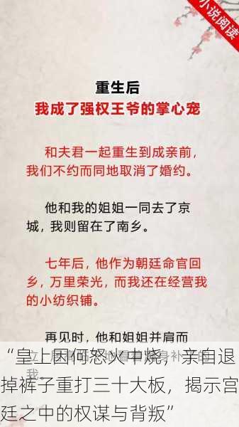 “皇上因何怒火中烧，亲自退掉裤子重打三十大板，揭示宫廷之中的权谋与背叛”