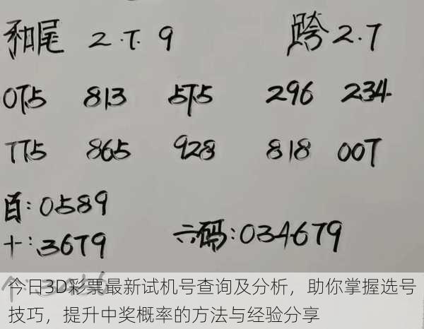 今日3D彩票最新试机号查询及分析，助你掌握选号技巧，提升中奖概率的方法与经验分享