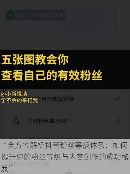 “全方位解析抖音粉丝等级体系：如何提升你的粉丝等级与内容创作的成功秘笈”