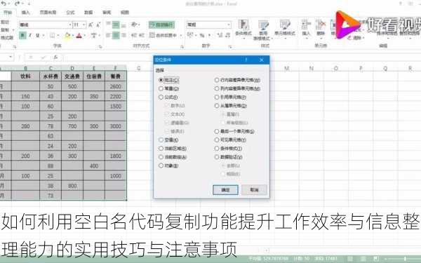 如何利用空白名代码复制功能提升工作效率与信息整理能力的实用技巧与注意事项