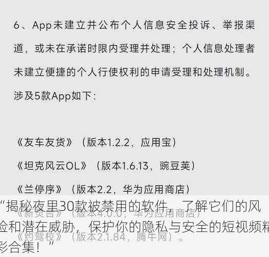 “揭秘夜里30款被禁用的软件，了解它们的风险和潜在威胁，保护你的隐私与安全的短视频精彩合集！”