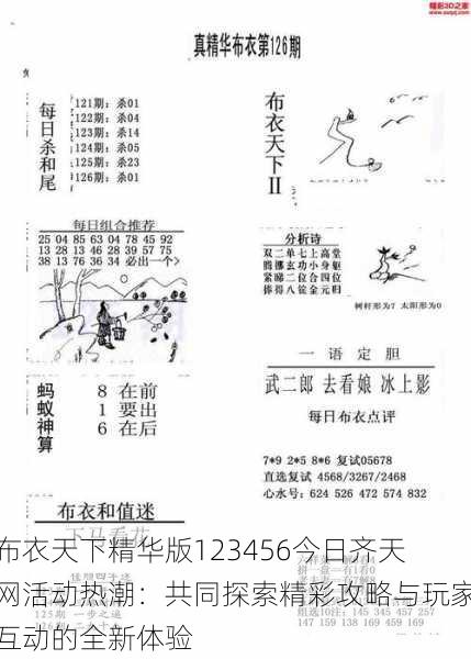 布衣天下精华版123456今日齐天网活动热潮：共同探索精彩攻略与玩家互动的全新体验