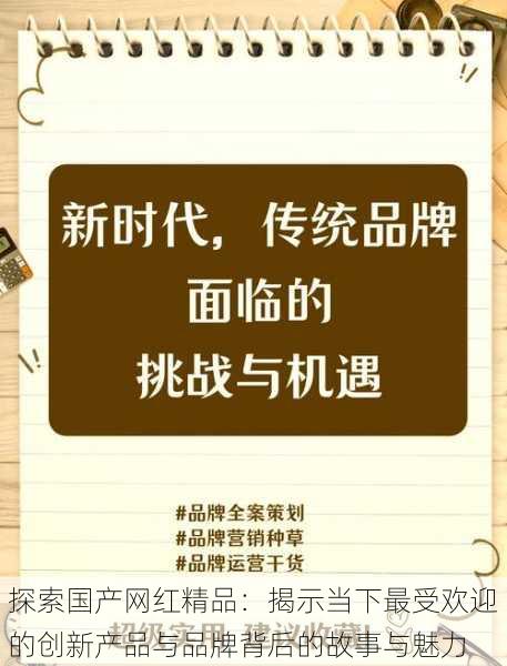 探索国产网红精品：揭示当下最受欢迎的创新产品与品牌背后的故事与魅力