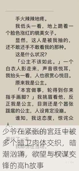 少爷在紧张的宫廷中被多个暗卫肉体交织，暗潮汹涌，欲望与权谋交锋的高h故事