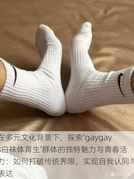 在多元文化背景下，探索'gaygays白袜体育生'群体的独特魅力与青春活力：如何打破传统界限，实现自我认同与表达