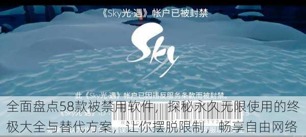 全面盘点58款被禁用软件，探秘永久无限使用的终极大全与替代方案，让你摆脱限制，畅享自由网络