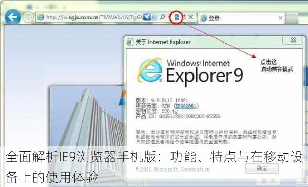 全面解析IE9浏览器手机版：功能、特点与在移动设备上的使用体验