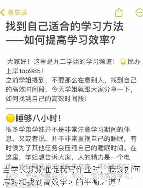 当学长频频催促我写作业时，我该如何应对和找到高效学习的平衡之道？