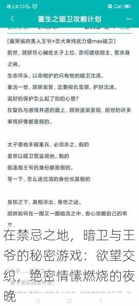 在禁忌之地，暗卫与王爷的秘密游戏：欲望交织，绝密情愫燃烧的夜晚