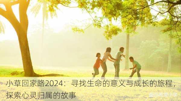 小草回家路2024：寻找生命的意义与成长的旅程，探索心灵归属的故事