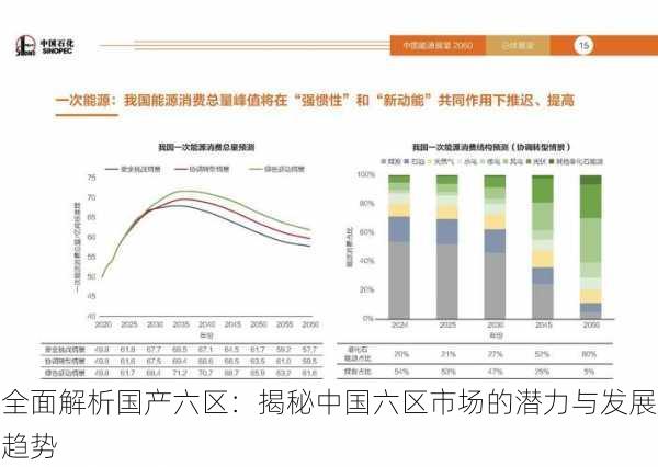 全面解析国产六区：揭秘中国六区市场的潜力与发展趋势