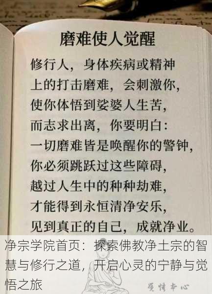 净宗学院首页：探索佛教净土宗的智慧与修行之道，开启心灵的宁静与觉悟之旅