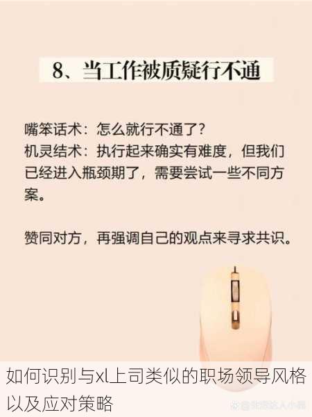 如何识别与xl上司类似的职场领导风格以及应对策略