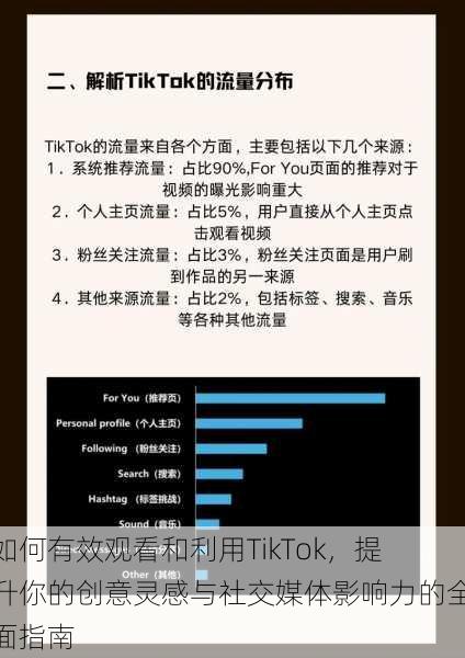 如何有效观看和利用TikTok，提升你的创意灵感与社交媒体影响力的全面指南