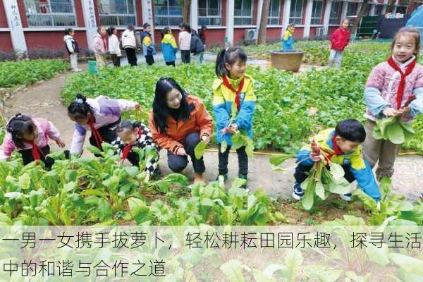 一男一女携手拔萝卜，轻松耕耘田园乐趣，探寻生活中的和谐与合作之道