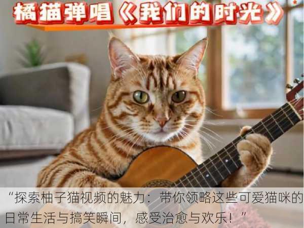 “探索柚子猫视频的魅力：带你领略这些可爱猫咪的日常生活与搞笑瞬间，感受治愈与欢乐！”