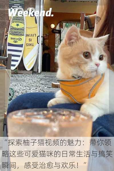 “探索柚子猫视频的魅力：带你领略这些可爱猫咪的日常生活与搞笑瞬间，感受治愈与欢乐！”