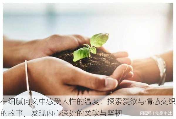 在细腻肉文中感受人性的温度：探索爱欲与情感交织的故事，发现内心深处的柔软与坚韧