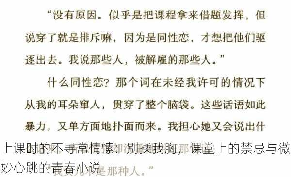 上课时的不寻常情愫：别揉我胸，课堂上的禁忌与微妙心跳的青春小说