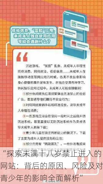 “探索未满十八岁禁止进入的网站：背后的原因、风险及对青少年的影响全面解析”