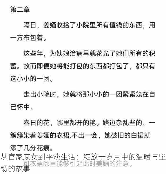 从官家庶女到平淡生活：绽放于岁月中的温暖与坚韧的故事