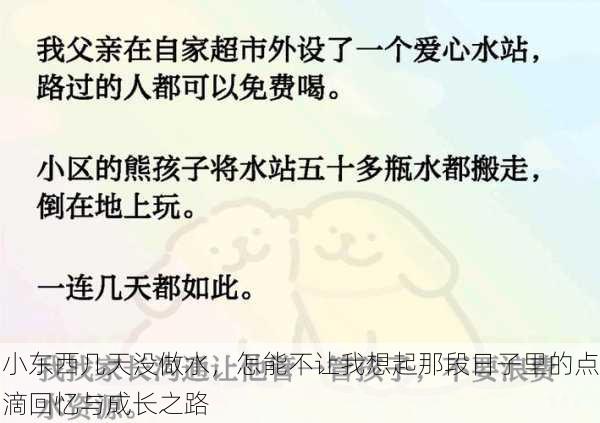 小东西几天没做水，怎能不让我想起那段日子里的点滴回忆与成长之路