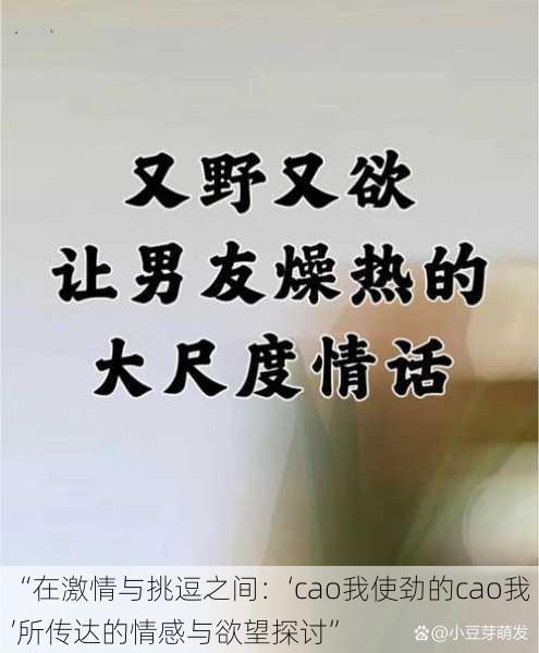 “在激情与挑逗之间：‘cao我使劲的cao我’所传达的情感与欲望探讨”