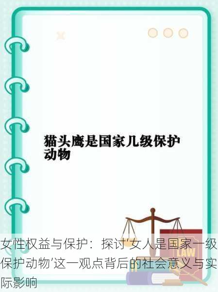 女性权益与保护：探讨‘女人是国家一级保护动物’这一观点背后的社会意义与实际影响